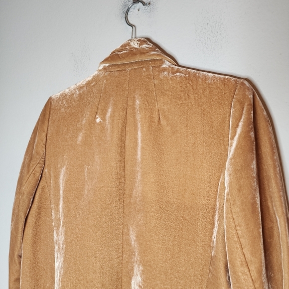 Banana Republic Velvet Warm Carmel Brown Tan Golden Single Button Blazer Size 6 - Picture 4 of 16
